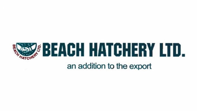 beach_hatchery_ltd